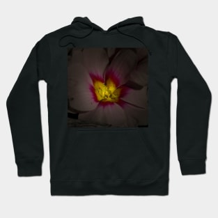 pink blossom Hoodie